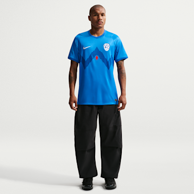 Slovenia 2026 Stadium Away Men's Nike Dri-FIT Football Replica